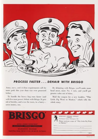 Process Faster Dehair With Brisgo