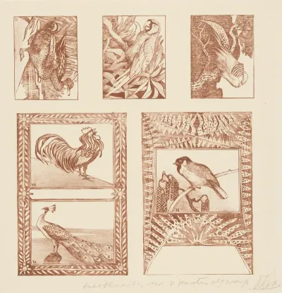 Proefblad Voor Briefkaarten Met Vogels