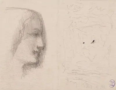 Profil De Femme A Droite Et Schema De Paysage