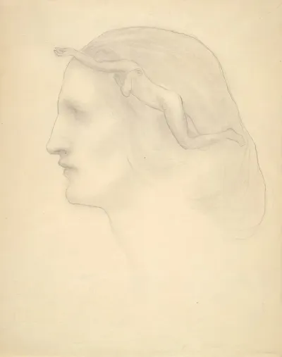 Profile And Superimposed Figure