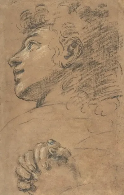 Profile Head Of A Youth Looking To Upper Left And Study Of Clasped Hands