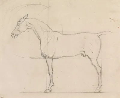 Profile Of A Horse Facing Left