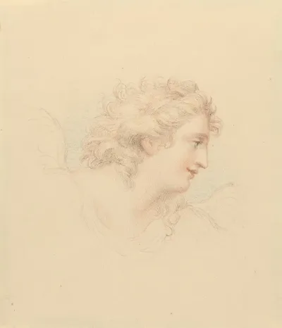 Profile Study Of Female Head