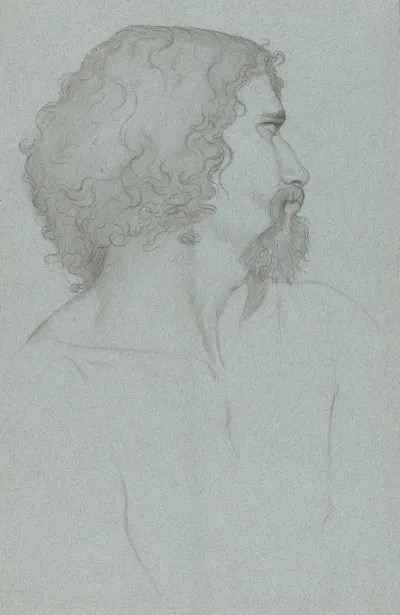 Profile Study Of The Model Mastrillo