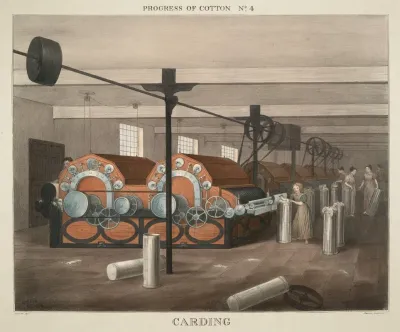 Progress Of Cotton 1 Cotton Plantation