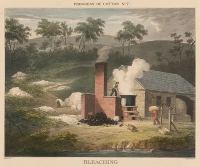 Progress Of Cotton 7 Bleaching