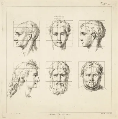 Proportional Studies Of Male Heads