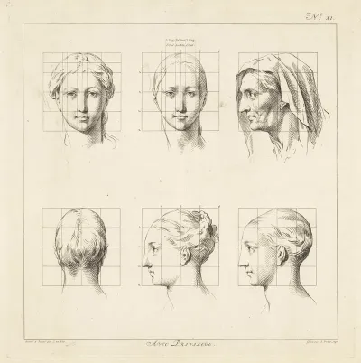 Proportional Studies Of Womens Heads