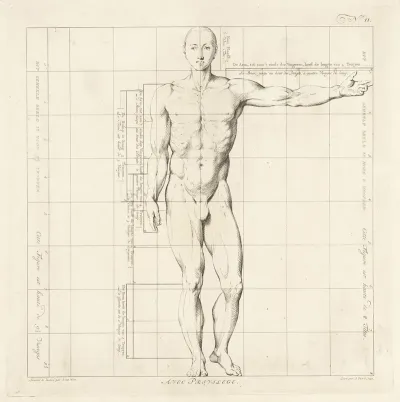 Proportional Study Of A Mans Body 2