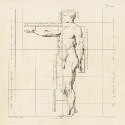 Proportional Study Of A Mans Body 3