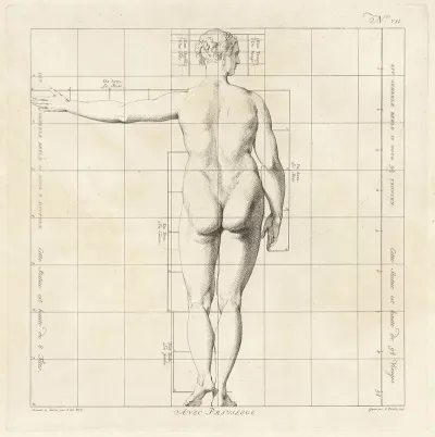 Proportional Study Of A Womans Body 3