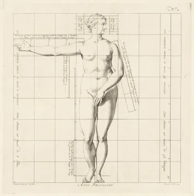 Proportional Study Of A Womans Body