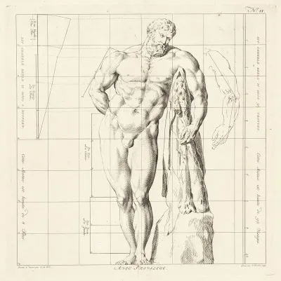 Proportional Study Of The Body Of Hercules Farnese