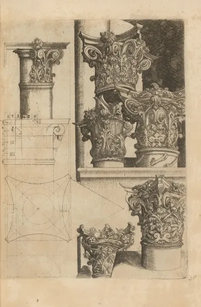 Proportions Of A Capital And Six Corinthian Capitals Decorated With Volutes And Foliage