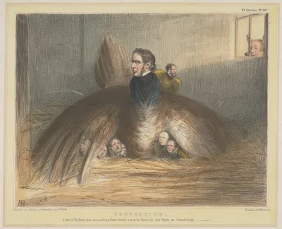 Protection A Hen And Chickens Of An Extraordinary Game Breed Not To Be Found In Any Work On Ornithology
