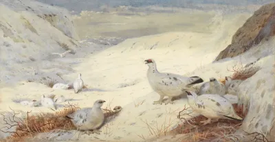 Ptarmigan In Winter Plumage Signed And Dated Archibald Thorburn 1899