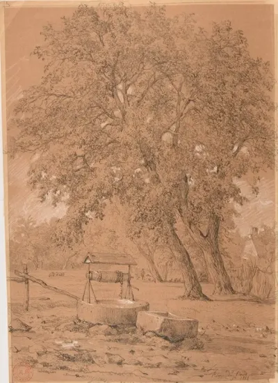 Puits Avec Grands Arbres