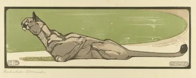 Puma 3