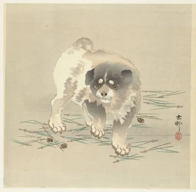 Puppy