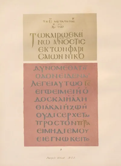 Purple‎ ‎greek‎ ‎mss