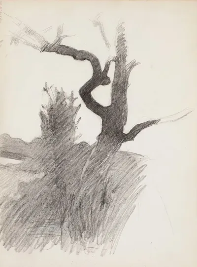 Puunrunko