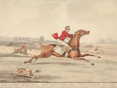 Qualified Horses And Unqualified Riders Going Along A Slapping Pace