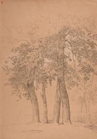 Quatre Arbres