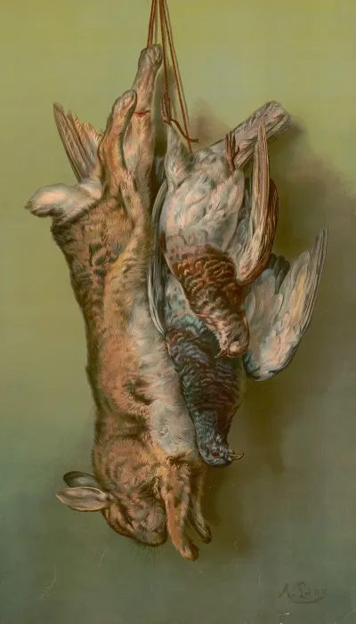Rabbit Pigeon