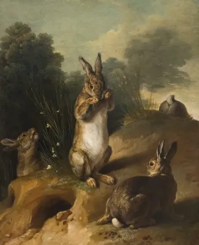 Rabbits 6