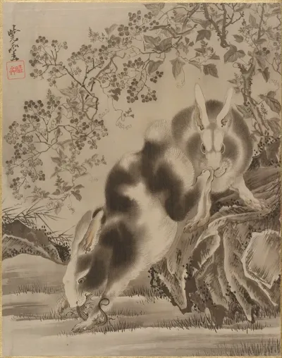 Rabbits 7