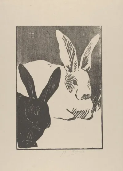 Rabbits Les Lapins