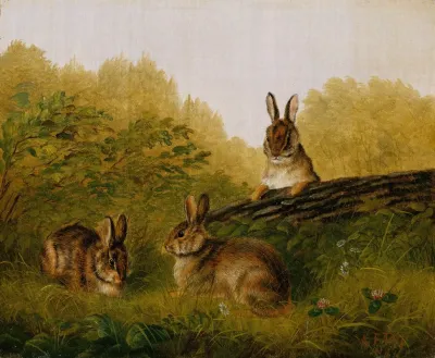 Rabbits On A Log
