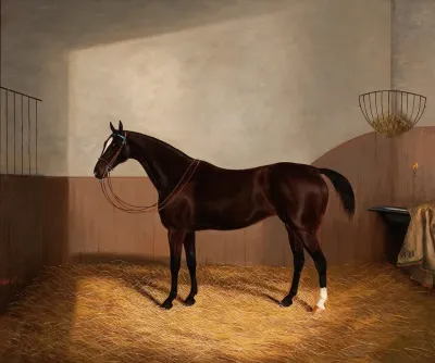 Race Horse