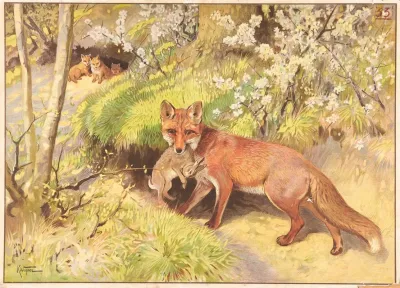 Raev