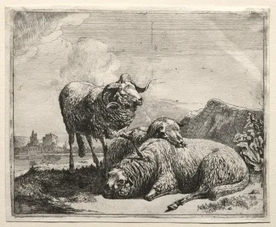 Ram And Two Sheep