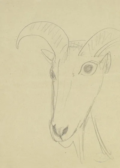 Ram Head