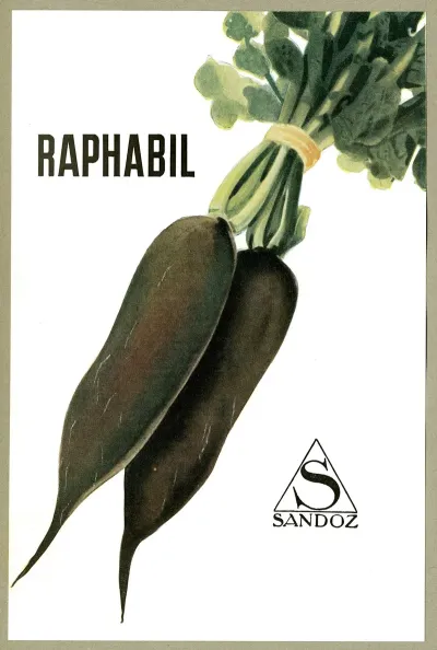 Raphabil 2