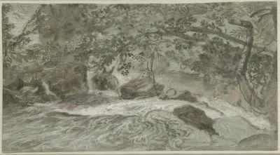 Rapids With Overhanging Branches Verso