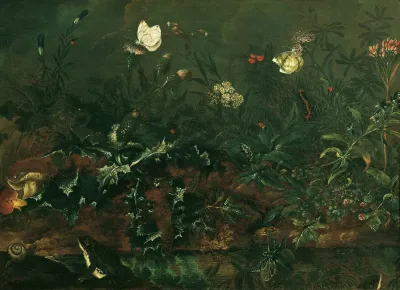 Rasenstuck Mit Distel Froschen Und Libelle