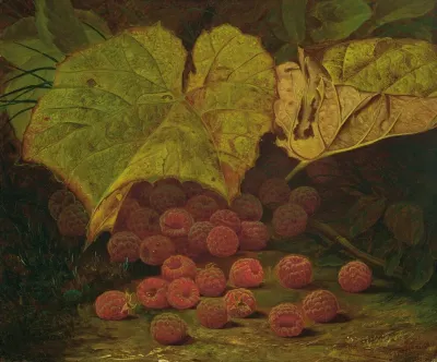 Raspberries Among The Leaves