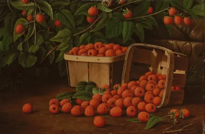 Raspberries In Basket Raspberries And Baskets