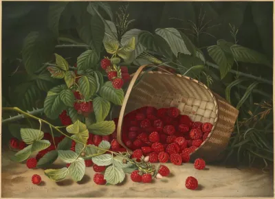 Raspberries