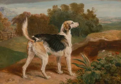 Ravager One Of The Lambton Hounds