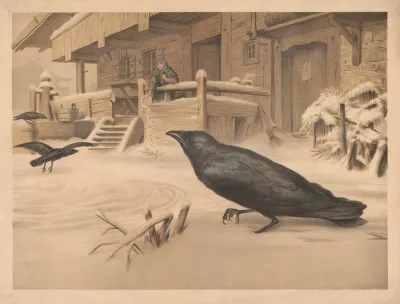 Raven 2