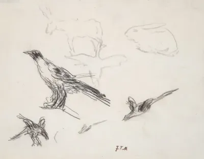 Ravens Donkey Rabbit And Goose