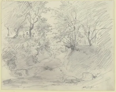 Ravine