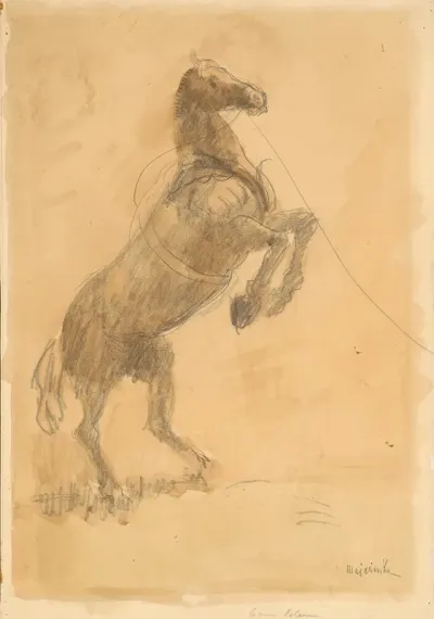Rearing Horse 2