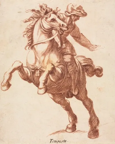 Rearing Horse And Rider 2