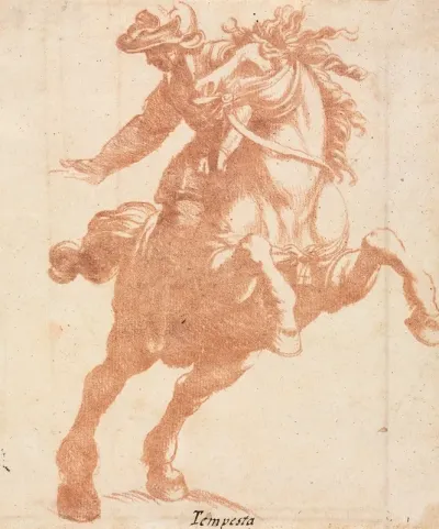Rearing Horse And Rider