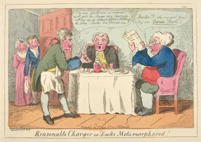 Reasonable Charges Or Ducks Metamorphosed